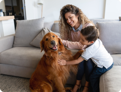 happy pet owners pet tools
