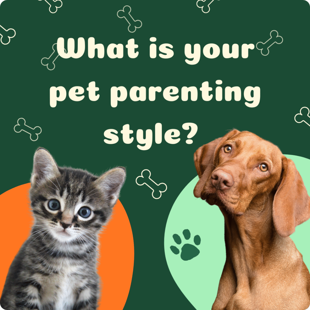 what is your pet parenting style?
