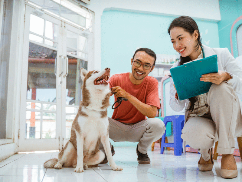 VCA Veterinary Hospital of Leon Springs