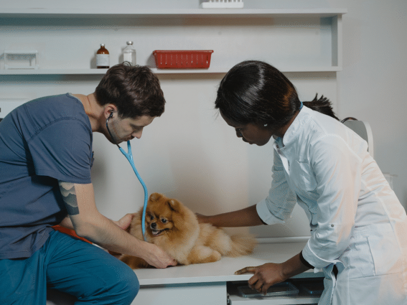 Babcock North Veterinary Hospital