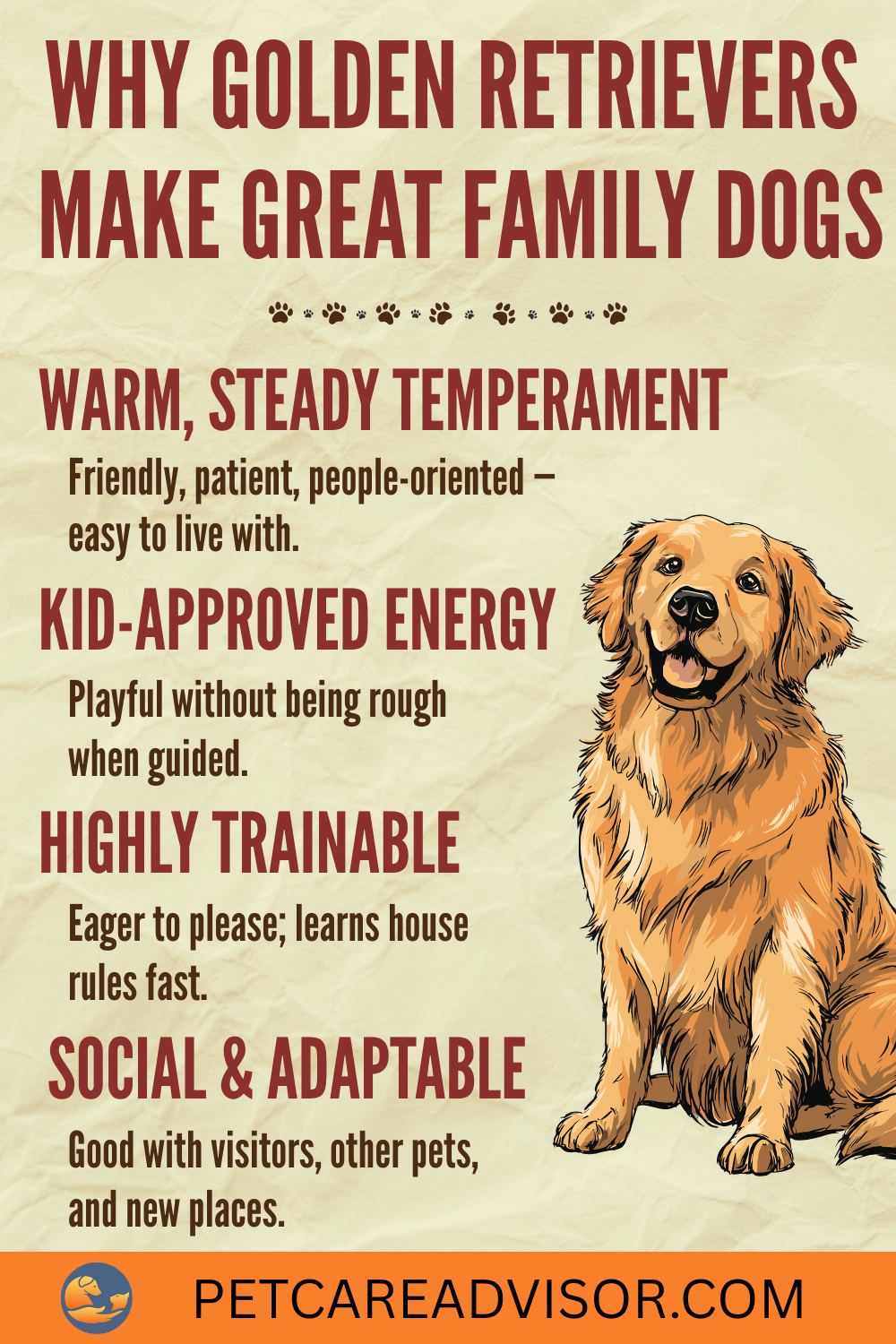 Why Golden Retrievers make great family dogs infographic