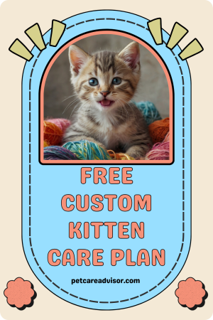 Smiling tabby kitten surrounded by colorful yarn with text that says Free Custom Kitten Care Plan from Petcare Advisor